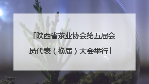 陕西省茶业协会第五届会员代表（换届）大会举行