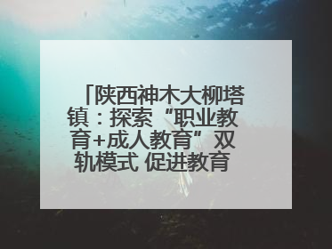 陕西神木大柳塔镇：探索“职业教育+成人教育”双轨模式 促进教育融合发展