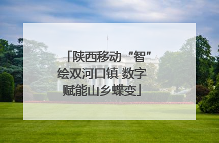 陕西移动“智”绘双河口镇 数字赋能山乡蝶变