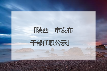 陕西一市发布干部任职公示