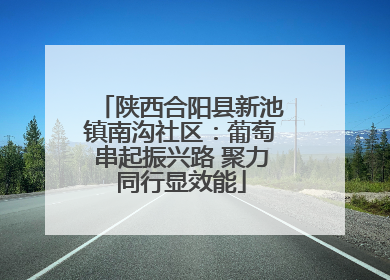 陕西合阳县新池镇南沟社区：葡萄串起振兴路 聚力同行显效能