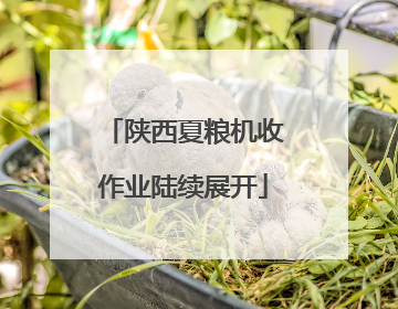 陕西夏粮机收作业陆续展开