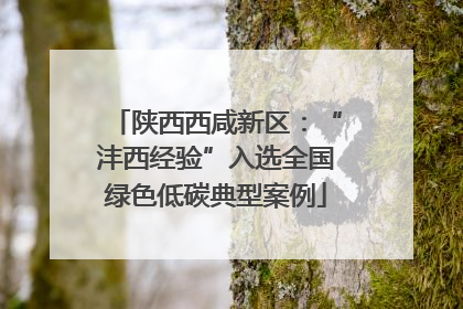 陕西西咸新区：“沣西经验”入选全国绿色低碳典型案例