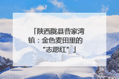 陕西陇县曹家湾镇：金色麦田里的“志愿红”