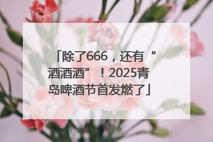 除了666，还有“酒酒酒”！2025青岛啤酒节首发燃了