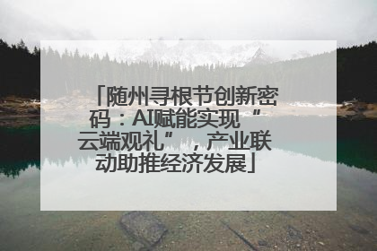 随州寻根节创新密码：AI赋能实现“云端观礼”，产业联动助推经济发展