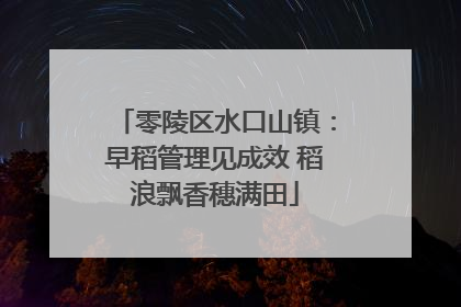 零陵区水口山镇：早稻管理见成效 稻浪飘香穗满田