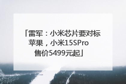 雷军：小米芯片要对标苹果，小米15SPro售价5499元起
