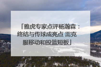 雅虎专家点评杨瀚森：终结与传球成亮点 需克服移动和投篮短板