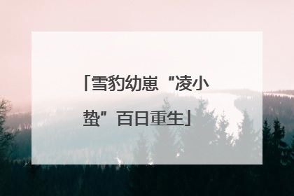 雪豹幼崽“凌小蛰”百日重生