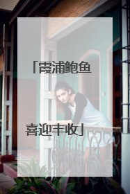 霞浦鲍鱼喜迎丰收