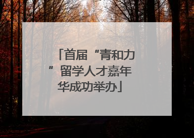 首届“青和力”留学人才嘉年华成功举办