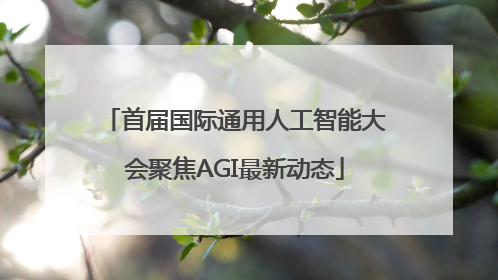 首届国际通用人工智能大会聚焦AGI最新动态