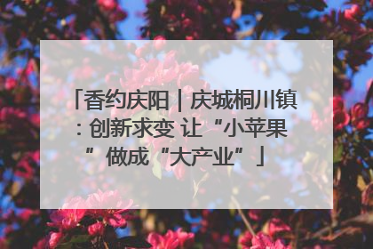 香约庆阳｜庆城桐川镇：创新求变 让“小苹果”做成“大产业”