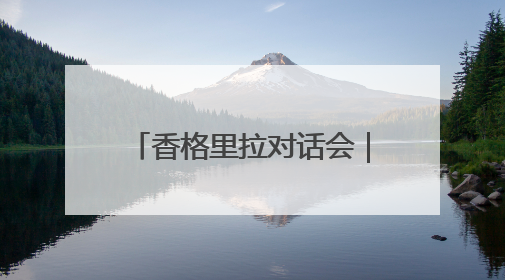 香格里拉对话会｜瑞士媒体人：美国施压盟友“极不理性” 欧洲国家无意与中国“脱钩断链”