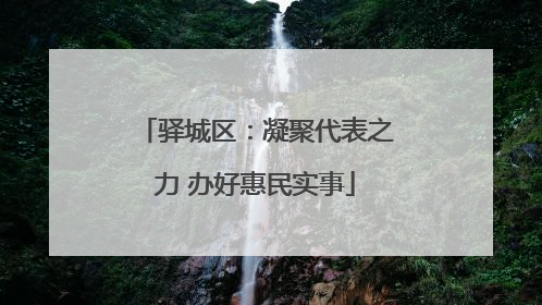 驿城区：凝聚代表之力 办好惠民实事