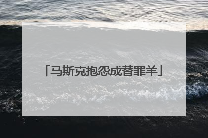 马斯克抱怨成替罪羊