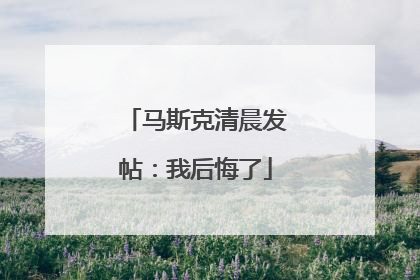 马斯克清晨发帖：我后悔了