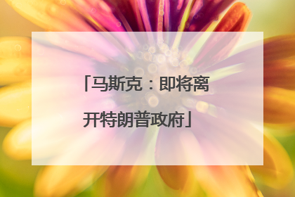 马斯克：即将离开特朗普政府