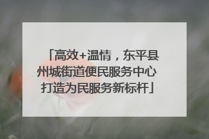 高效+温情，东平县州城街道便民服务中心打造为民服务新标杆