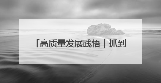 高质量发展践悟｜抓到底 改到位 治到根
