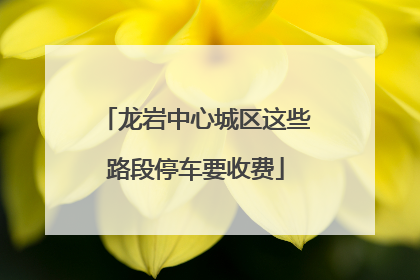 龙岩中心城区这些路段停车要收费