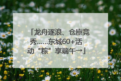 龙舟逐浪、仓廪竞秀……东城60+活动“粽”享端午→