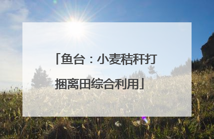 鱼台：小麦秸秆打捆离田综合利用