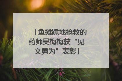 鱼摊跪地抢救的药师吴梅梅获“见义勇为”表彰
