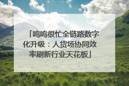 鸣鸣很忙全链路数字化升级：人货场协同效率刷新行业天花板