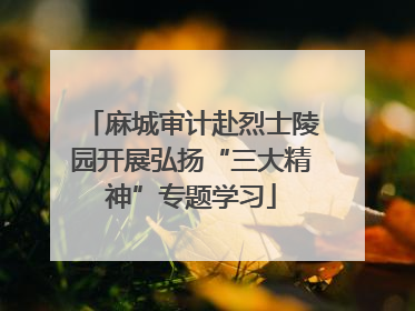 麻城审计赴烈士陵园开展弘扬“三大精神”专题学习