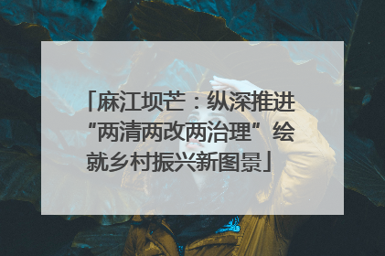 麻江坝芒：纵深推进“两清两改两治理”绘就乡村振兴新图景