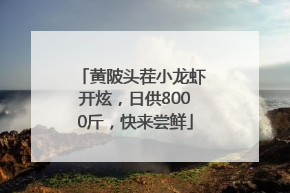 黄陂头茬小龙虾开炫，日供8000斤，快来尝鲜