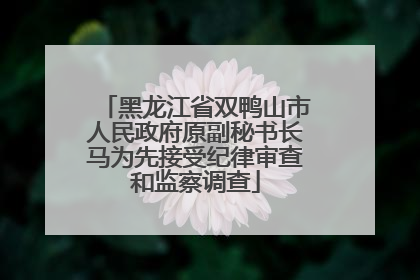 黑龙江省双鸭山市人民政府原副秘书长马为先接受纪律审查和监察调查