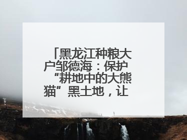 黑龙江种粮大户邹德海：保护“耕地中的大熊猫”黑土地，让增产可持续