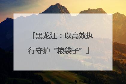 黑龙江：以高效执行守护“粮袋子”