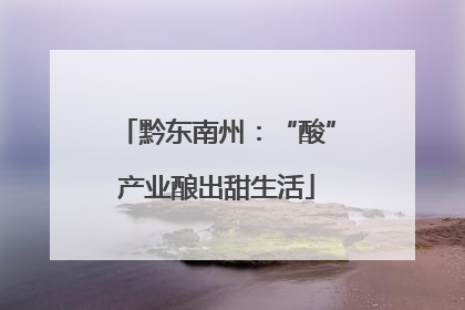 黔东南州：“酸”产业酿出甜生活