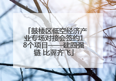 鼓楼区低空经济产业专场对接会签约18个项目——建圈强链 比翼齐飞