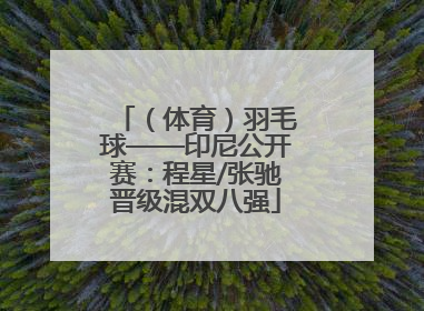 （体育）羽毛球——印尼公开赛：程星/张驰晋级混双八强