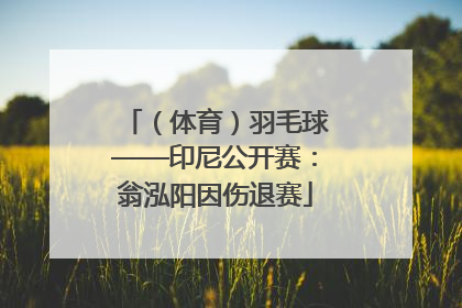（体育）羽毛球——印尼公开赛：翁泓阳因伤退赛