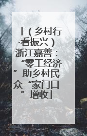 （乡村行·看振兴）浙江嘉善：“零工经济”助乡村民众“家门口”增收