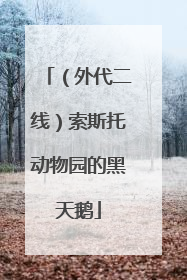 （外代二线）索斯托动物园的黑天鹅