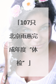 107只北京雨燕完成年度“体检”