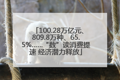 100.28万亿元、809.8万种、65.5%……“数”读消费提速 经济潜力释放