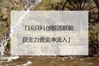 16只科创板活跃股获主力资金净流入