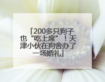 200多只狗子也“吃上席”！天津小伙在狗舍办了一场婚礼