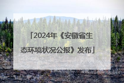 2024年《安徽省生态环境状况公报》发布