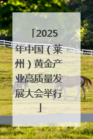 2025年中国（莱州）黄金产业高质量发展大会举行