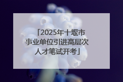 2025年十堰市事业单位引进高层次人才笔试开考