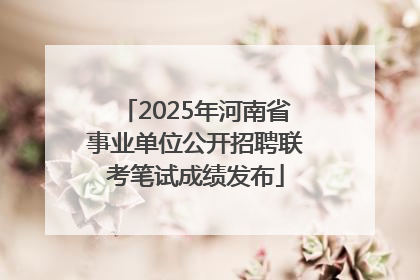 2025年河南省事业单位公开招聘联考笔试成绩发布